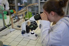 laboratorio di scienze1